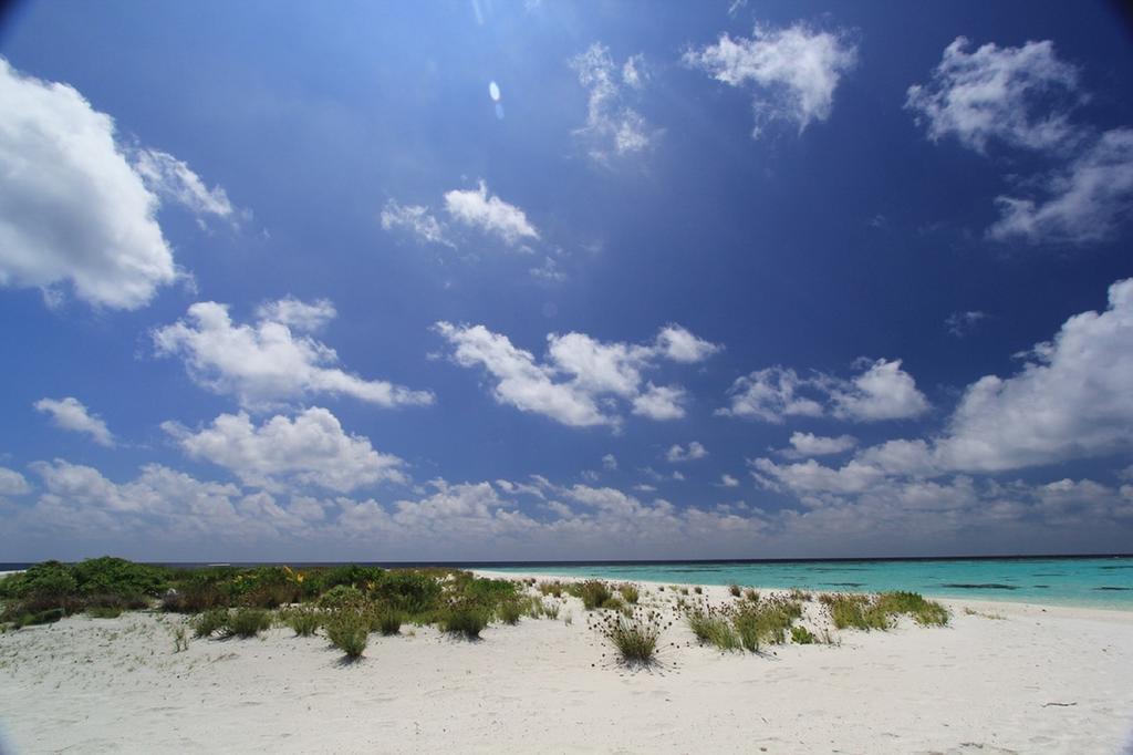 Local Island Inn Hangnaameedhoo Exterior foto