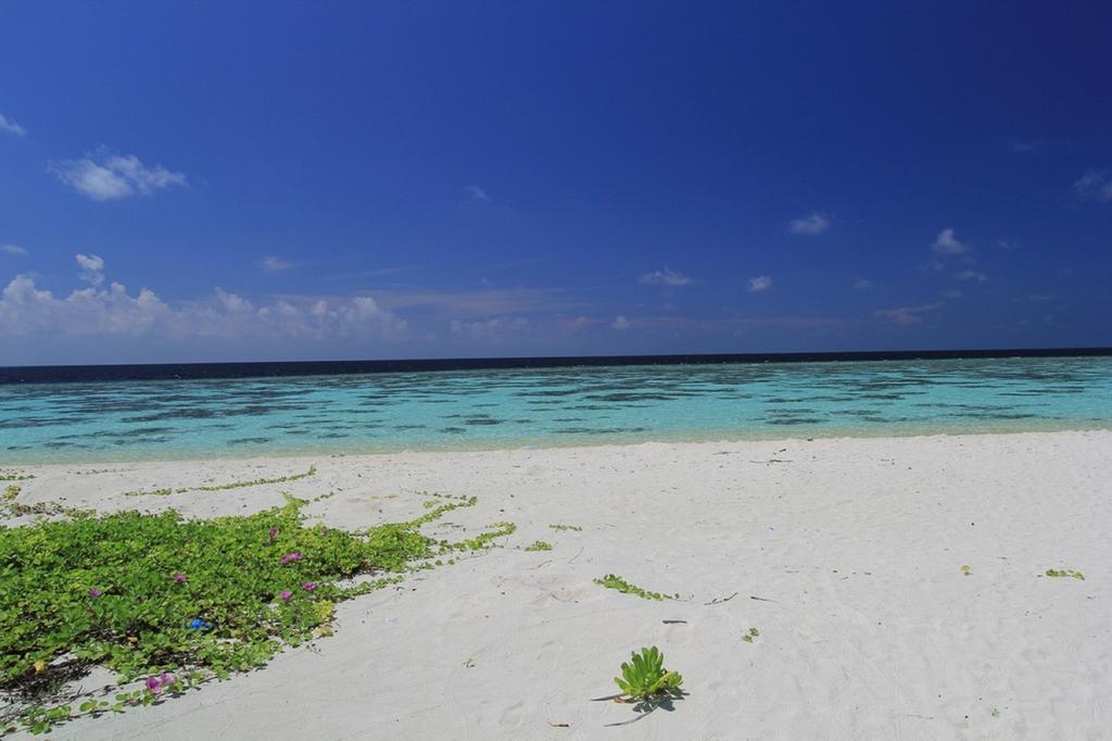 Local Island Inn Hangnaameedhoo Exterior foto